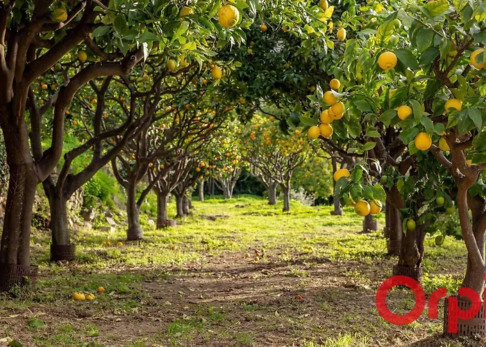 Lumineux A Avec Piscine Et Wi-fi Inclus - Fr-1-647-51 Lägenhet *